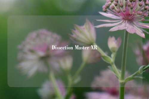 Dissection Master XR