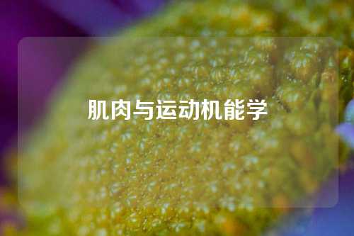 肌肉与运动机能学