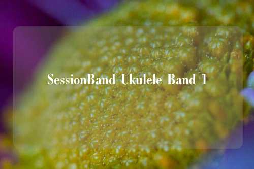SessionBand Ukulele Band 1
