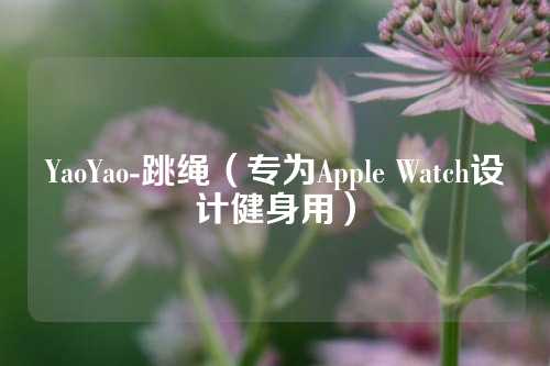 YaoYao-跳绳（专为Apple Watch设计健身用）