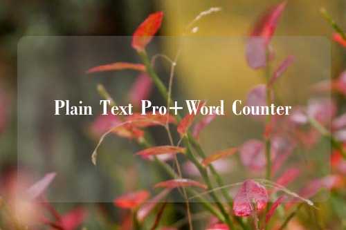 Plain Text Pro+Word Counter