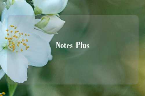 Notes Plus