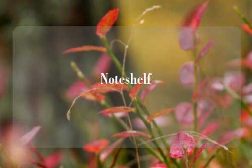 Noteshelf